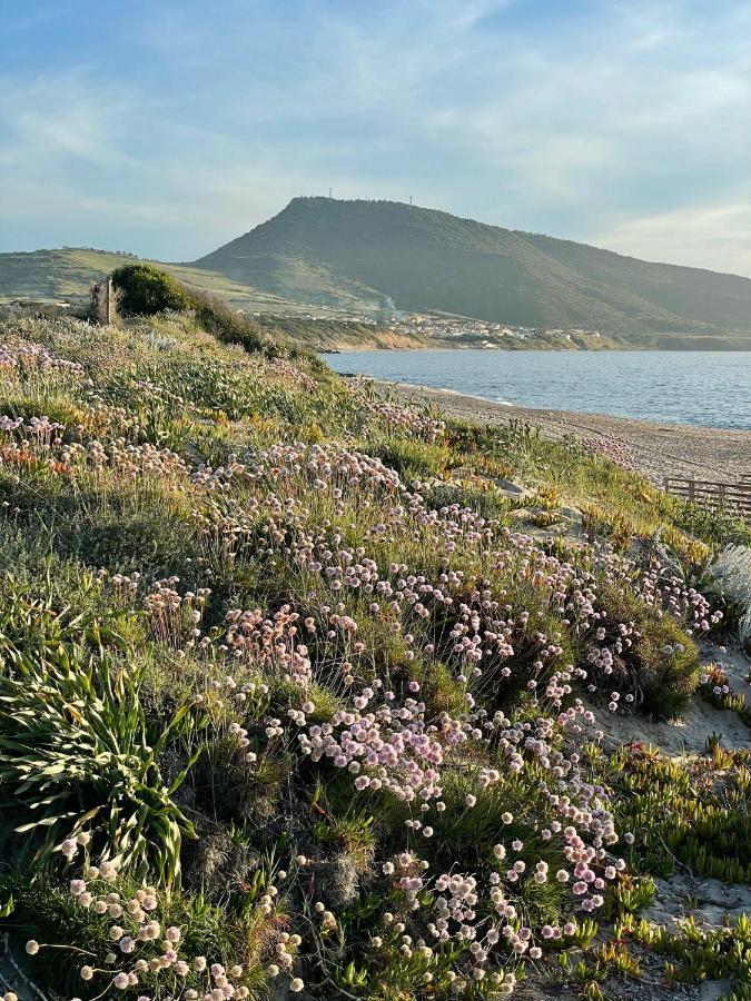 Zaffiro Casa Vacanze Al Mare Valledoria  Dış mekan fotoğraf